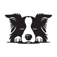cachorro - uma sonolento fronteira collie cachorro face ilustração dentro Preto e branco vetor