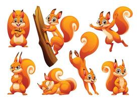 conjunto do esquilo dentro diferente poses. desenho animado ilustração vetor