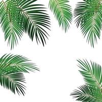 ilustração de fundo vetorial em folha de palmeira vetor