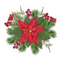 vector inverno poinsétia natal estrela flor com bagas vermelhas. ilustração de estilo de design de aplicativo móvel e web isolada no fundo branco