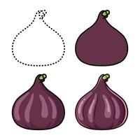 FIG fruta conjunto ilustração vetor