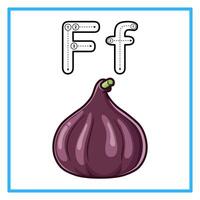 rastreamento alfabeto FIG fruta ilustração vetor