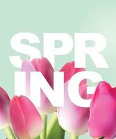 Olá, saudações de banner de primavera desenha o plano de fundo com elementos de flores coloridas. ilustração vetorial vetor