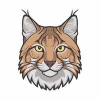 lince é uma selvagem gato. plano ilustração do animal isolado em branco fundo. vetor