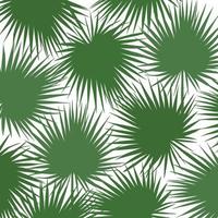 silhueta verde de libistones de folhas de palmeira chinesa, sul. ilustração vetorial vetor