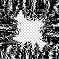 folha de palmeira preta sobre fundo branco. ilustração vetorial vetor
