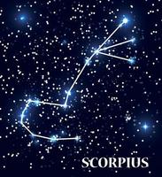 símbolo Scorpius signo do zodíaco. ilustração vetorial. vetor