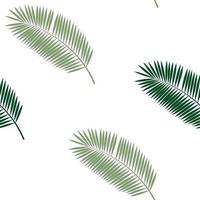 folha de palmeira sem costura de fundo. ilustração vetorial. vetor