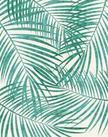 ilustração de fundo vetorial em folha de palmeira vetor