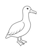 desenhado à mão esboço do a albatroz vetor