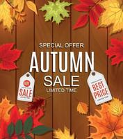 ilustração em vetor abstrato fundo de venda de outono com folhas de outono e placas de madeira