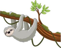desenho animado bicho-preguiça suspensão em uma árvore ramo vetor