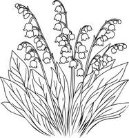 lírio do a vale linha arte. lírio do a vale esboço ilustração, pode nascimento mês flor. lírio do a vale flor esboço desenhos isolado em branco. mão pintado linha arte lírio do a Balley vetor