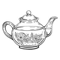 chaleira do chá com saudável chá, limão fatias, chá folhas. mão desenhado ilustração. vetor