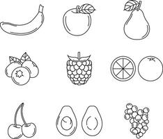 uma coleção do linha de trabalho fruta ilustrações para obra de arte composição vetor