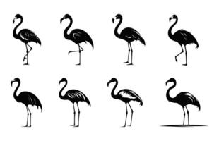 flamingo silhuetas clipart definir, flamingo pássaro Preto silhueta agrupar vetor