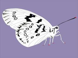 ilustração do uma branco borboleta com uma azul fundo vetor