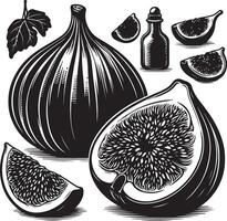 FIG fruta, Preto cor silhueta vetor