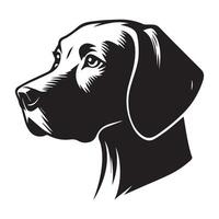 uma pensativo vizsla cachorro face ilustração dentro Preto e branco vetor
