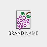 frutas ícone e fruta logotipo Projeto fresco frutas tropical natureza Comida ilustração vetor