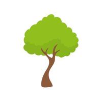 elemento de árvore verde do vetor. floresta fértil para decoração vetor