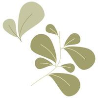 eco verde cor folha logotipo plano ícone definir. isolado folhas formas em branco fundo. bio plantar e árvore floral floresta conceito Projeto. botânica desenho animado ilustração para Casamento convite Projeto vetor