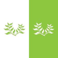 logotipos da ecologia de folhas verdes vetor