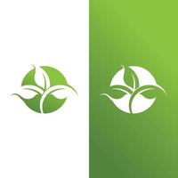 logotipos da ecologia de folhas verdes vetor