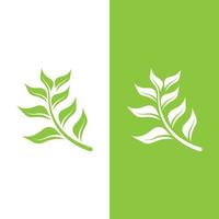 logotipos da ecologia de folhas verdes vetor