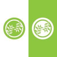 logotipos da ecologia de folhas verdes vetor