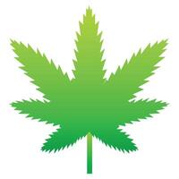 cannabis folha ícone. maconha legalizado símbolo. médico cannabis sinal, ervas natural orgânico plantar. ilustração vetor