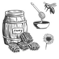 querida barril, de madeira colher, abelha, favo de mel, camomila querida definir. mão desenhado vintage gravado orgânico querida Comida esboço ilustração vetor