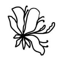 flor 1 linha arte, minimalista contorno mão desenhando vetor