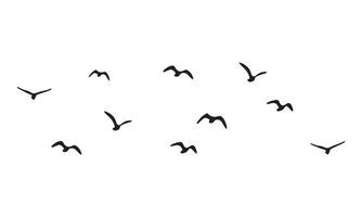 design de pássaros voando vetor