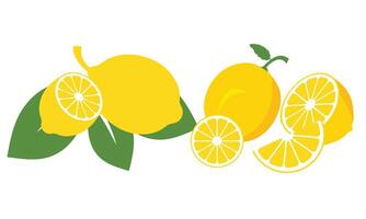 limão fruta coleção vetor