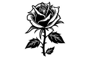 rosa flor mão desenhado tinta esboço. gravação estilo ilustração. vetor