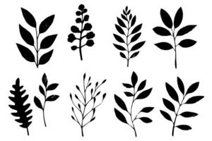 conjunto do linóleo cortar carimbo Preto folhas e ramo impressões em branco fundo. mão desenhado floral elementos. vetor
