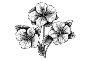 hibisco flor mão desenhado tinta esboço. gravado estilo ilustração. vetor