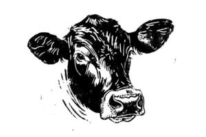 vintage esboço do uma de vaca cabeça desenhado à mão ilustração do laticínios Fazenda animal. vetor