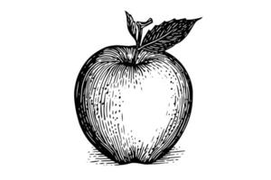 vintage desenhado à mão maçã árvore esboço retro ilustração do fresco fruta. vetor