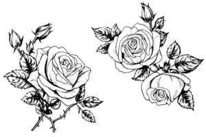 conjunto do rosa flor mão desenhado tinta esboço. gravação estilo ilustração. vetor