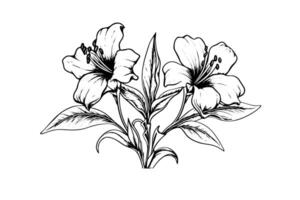 vintage floral desenhado à mão linha arte com hibisco e rosa elementos. vetor