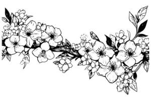 cereja Flor mão desenhado tinta esboço. sakura dentro gravação estilo ilustração. vetor