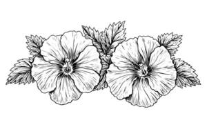 hibisco flor mão desenhado tinta esboço. gravado estilo ilustração. vetor