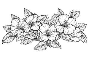 hibisco flor mão desenhado tinta esboço. gravado estilo ilustração. vetor