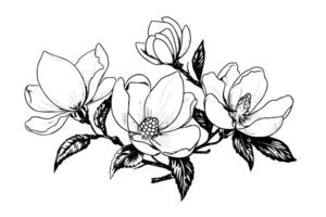 magnólia flor mão desenhado tinta esboço. gravado retro estilo ilustração. vetor