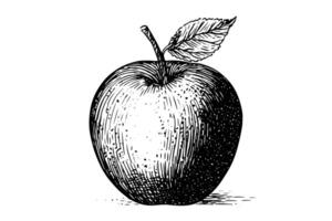 maçã fruta mão desenhado tinta esboço. gravado estilo ilustração. vetor