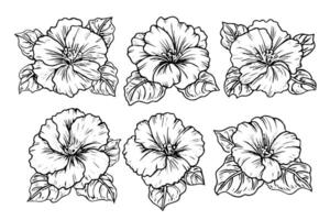 hibisco flor mão desenhado tinta esboço. gravado estilo ilustração. vetor