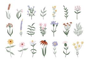 minimalista selvagem flores e folhas coleção vetor