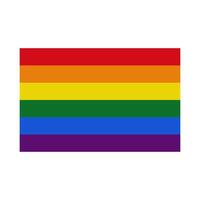 gay bandeira em uma branco fundo vetor